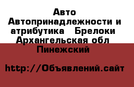 Авто Автопринадлежности и атрибутика - Брелоки. Архангельская обл.,Пинежский 